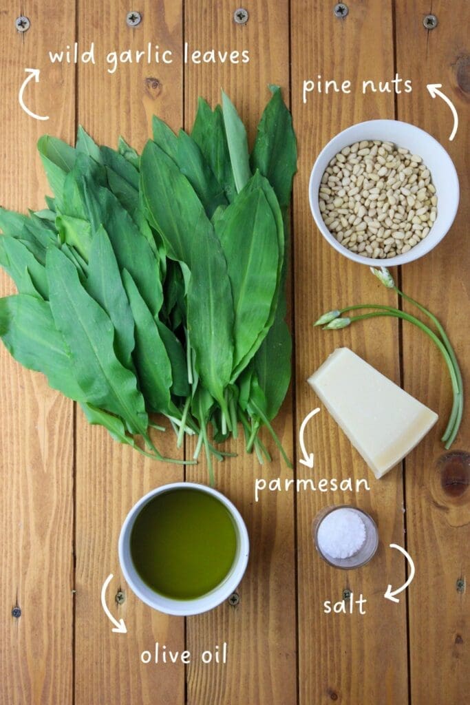 Ingredients needed for pesto with wild garlic; fresh wild garlic leaves, pine nuts, parmesan cheese, organic olive oil and salt.